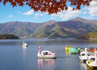 เที่ยวคาวากุจิโกะ (Kawaguchiko) 1 วัน! วางแผนเดินทางไปชมภูเขาไฟฟูจิแบบชิลๆ เที่ยวคาวากุจิโกะ (Kawaguchiko) 1 วัน