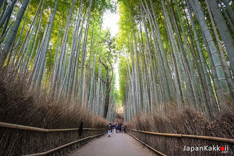 อาราชิยาม่า (Arashiyama / 嵐山)