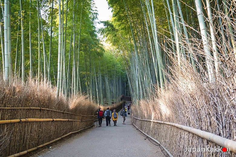 Chikurin no Komichi (竹林の小径)