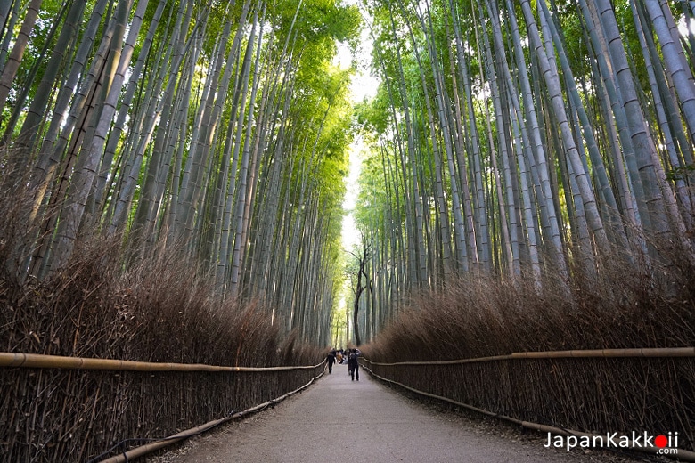 Arashiyama Chikurin no Komichi (嵐山 竹林の小径)