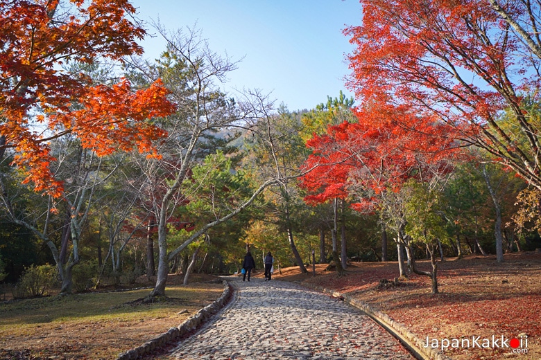 สวนคาเมะยาม่า (Kameyama Park)