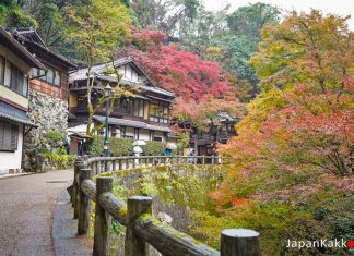 ตารางพยากรณ์ใบไม้เปลี่ยนสี ญี่ปุ่น 2020 แบบละเอียดยิบ (อัปเดตล่าสุด Oct 14, 2020) พยากรณ์ใบไม้เปลี่ยนสี ญี่ปุ่น 2020