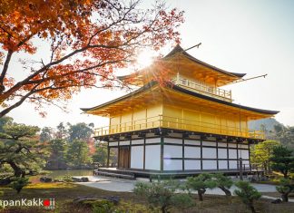 ตารางพยากรณ์ใบไม้เปลี่ยนสี ญี่ปุ่น 2021 แบบละเอียดยิบ (อัปเดต Oct 13, 2021) วัดคินคะคุจิช่วงฤดูใบไม้เปลี่ยนสี