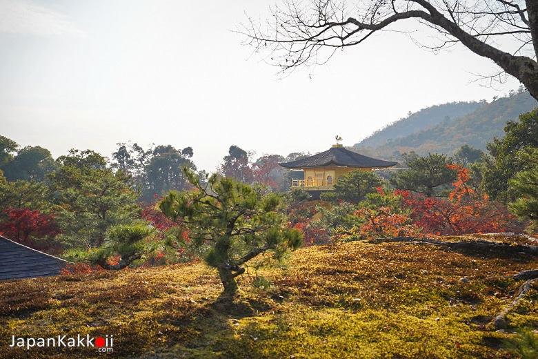 บริเวณสวนด้านหลัง