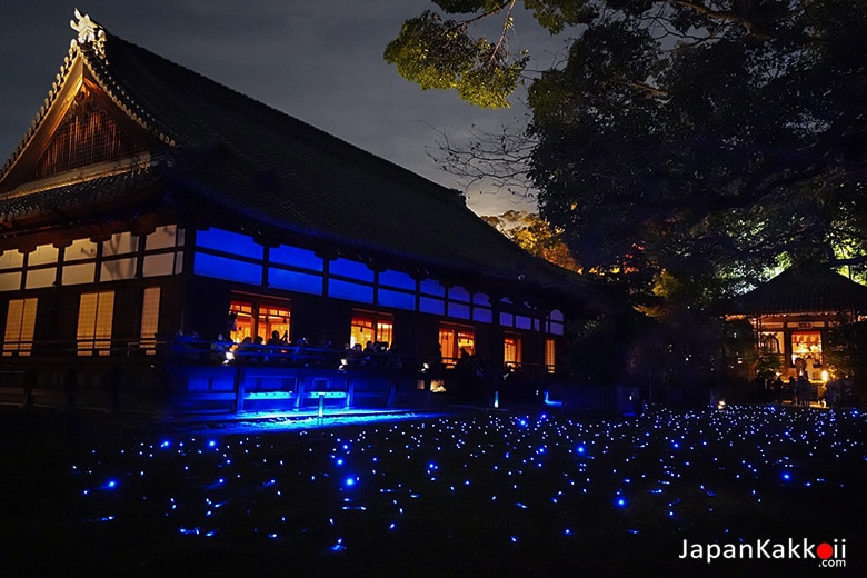 Shorenin Temple Kyoto Night Illumination