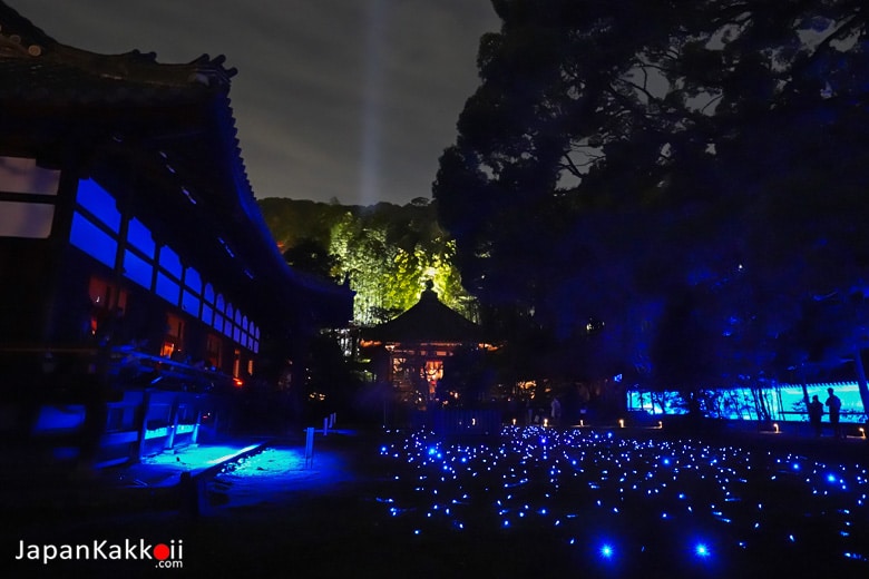 Shorenin Temple Kyoto Light up