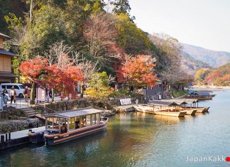 ตารางพยากรณ์ 23 จุดชมใบไม้เปลี่ยนสีในเกียวโต (Kyoto) ปี 2020 (อัปเดตล่าสุด Oct 11, 2020) พยากรณ์ใบไม้เปลี่ยนสีในเกียวโต (Kyoto) 2020