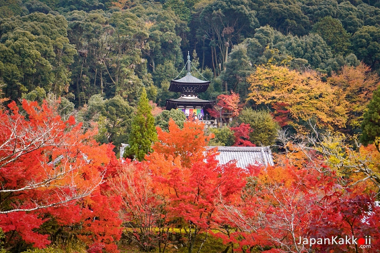 วัดเอคันโด (Eikando Temple/ 永観堂)