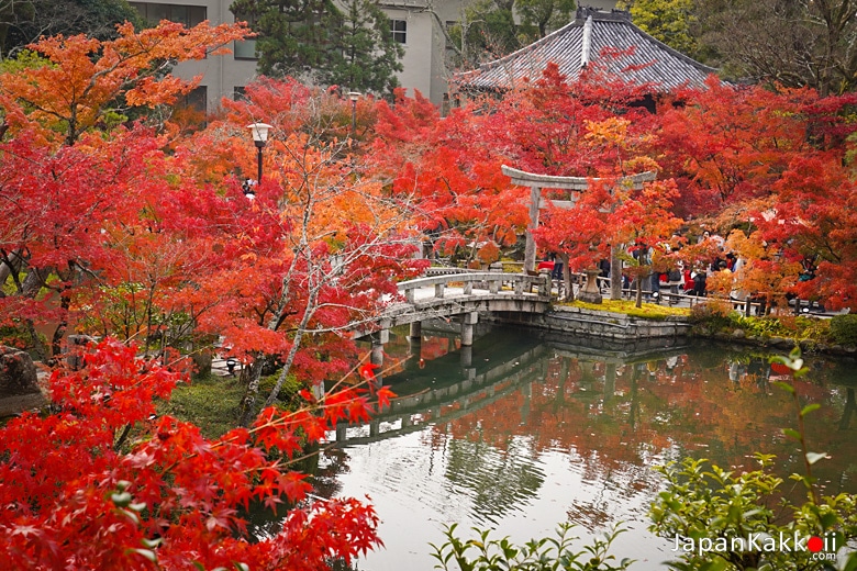 Hojo Pond (放生池)