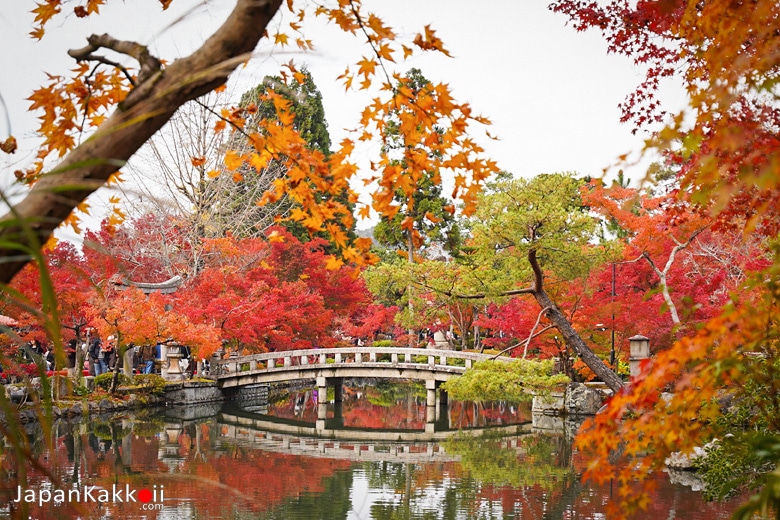 Hojo Pond (放生池)