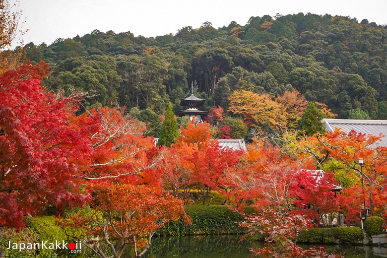 วัดเอคันโด (Eikando Temple)