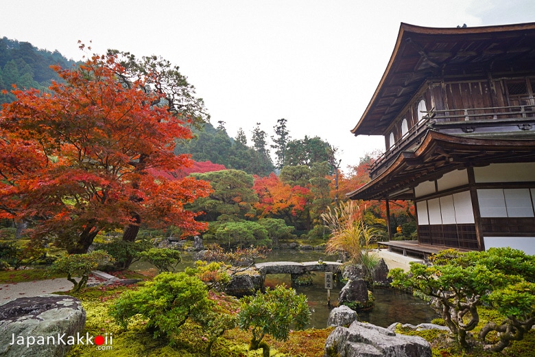 สวนญี่ปุ่นและบ่อน้ำ
