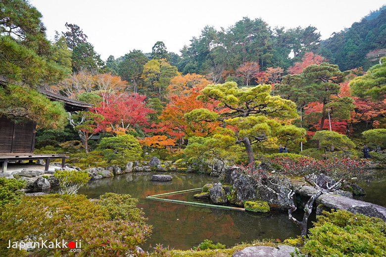 สวนญี่ปุ่นและใบไม้เปลี่ยนสี
