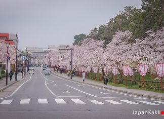 ตารางพยากรณ์ซากุระบาน 2021 ที่ญี่ปุ่น แบบละเอียดยิบ (อัพเดตล่าสุด Mar 8, 2021) ตารางพยากรณ์ซากุระบาน 2021 ที่ญี่ปุ่น