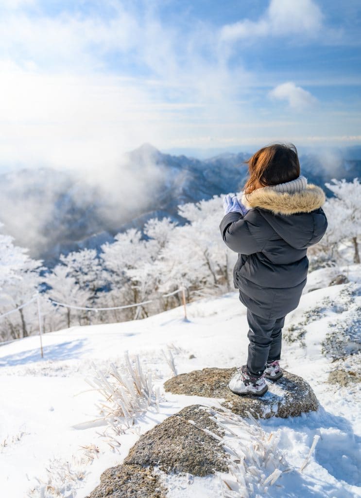 Mt Gozaisho