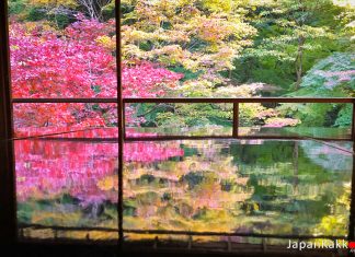 ตารางพยากรณ์ 32 จุดชมใบไม้เปลี่ยนสีในเกียวโต (Kyoto) ปี 2021 (อัปเดตล่าสุด Oct 23, 2021) วิววัดรุริโคอินช่วงฤดูใบไม้ร่วง