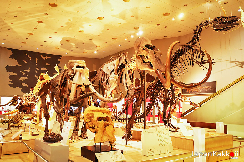 พิพิธภัณฑ์ธรรมชาติวิทยาโอซาก้า (Osaka Museum Of Natural History)