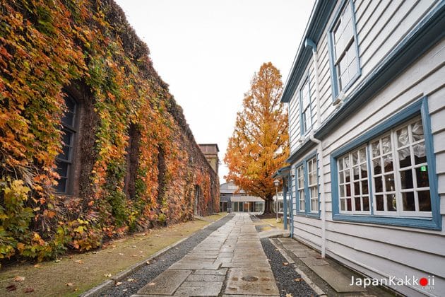 [รีวิว] เมืองเก่าคุราชิกิ (Kurashiki Bikan Historical Quarter)