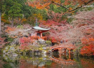 ตารางพยากรณ์ใบไม้เปลี่ยนสี ญี่ปุ่น 2022 แบบละเอียดยิบ 100 จุด (อัปเดต Oct 16, 2022) พยากรณ์ใบไม้เปลี่ยนสี ญี่ปุ่น 2022