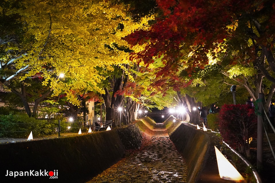 Fuji Kawaguchiko Autumn Leaves Festival (富士河口湖紅葉まつり)