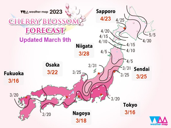 ตารางพยากรณ์ซากุระบาน 2023 ที่ญี่ปุ่น