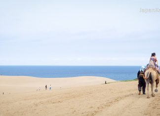 เที่ยวทตโตริ (Tottori) คู่มือเที่ยวทตโตริ (Tottori Guide)