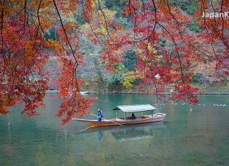 58 จุดชมใบไม้เปลี่ยนสีในเกียวโต (Kyoto) พร้อมพยากรณ์ 2023 (อัปเดตล่าสุด 2 พ.ย.) จุดชมใบไม้เปลี่ยนสีในเกียวโต (Kyoto)