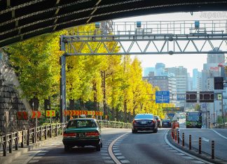 48 จุดชมใบไม้เปลี่ยนสีในโตเกียว (Tokyo) พร้อมพยากรณ์ 2023 (อัปเดตล่าสุด 2 พ.ย.) ใบไม้เปลี่ยนสีในโตเกียว (Tokyo)