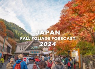 ตารางพยากรณ์ใบไม้เปลี่ยนสี ญี่ปุ่น 2024 ละเอียดยิบ 160 จุด (อัปเดตล่าสุด 19 พ.ย.) พยากรณ์ใบไม้เปลี่ยนสี ญี่ปุ่น 2024