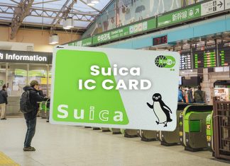 Suica Card & Welcome Suica การซื้อและใช้งานบัตรเติมเงิน (IC Card) ของญี่ปุ่น บัตร Suica IC CARD