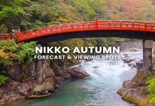 17 จุดชมใบไม้เปลี่ยนสี นิกโก้ (Nikko) พร้อมพยากรณ์ 2025 (อัปเดตล่าสุด 4 ก.ย.) ใบไม้เปลี่ยนสีนิกโก้ (Nikko Autumn)