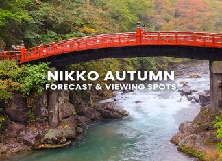 17 จุดชมใบไม้เปลี่ยนสี นิกโก้ (Nikko) พร้อมพยากรณ์ 2025 (อัปเดตล่าสุด 9 ต.ค.) ใบไม้เปลี่ยนสีนิกโก้ (Nikko Autumn)