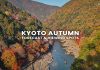 70 จุดชมใบไม้เปลี่ยนสี เกียวโต (Kyoto) พร้อมพยากรณ์ 2025 (อัปเดตล่าสุด 4 ก.ย.) ใบไม้เปลี่ยนสีเกียวโต (Kyoto Autumn)