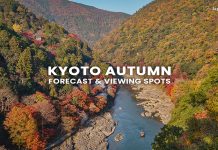 70 จุดชมใบไม้เปลี่ยนสี เกียวโต (Kyoto) พร้อมพยากรณ์ 2025 (อัปเดตล่าสุด 4 ก.ย.) ใบไม้เปลี่ยนสีเกียวโต (Kyoto Autumn)