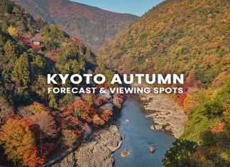 80 จุดชมใบไม้เปลี่ยนสี เกียวโต (Kyoto) พร้อมพยากรณ์ 2025 (อัปเดตล่าสุด 13 ต.ค.) ใบไม้เปลี่ยนสีเกียวโต (Kyoto Autumn)