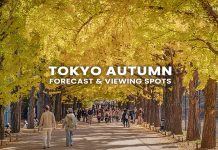 70 จุดชมใบไม้เปลี่ยนสี โตเกียว (Tokyo) พร้อมพยากรณ์ 2025 (อัปเดตล่าสุด 4 ก.ย.) ใบไม้เปลี่ยนสีโตเกียว (Tokyo Autumn)
