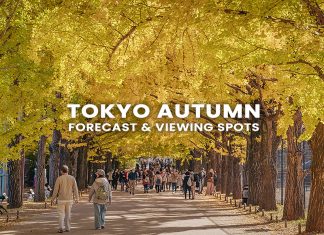70 จุดชมใบไม้เปลี่ยนสี โตเกียว (Tokyo) พร้อมพยากรณ์ 2025 (อัปเดตล่าสุด 13 ต.ค.) ใบไม้เปลี่ยนสีโตเกียว (Tokyo Autumn)