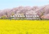 10 จุดชมซากุระบาน ไซตามะ (Saitama) พร้อมพยากรณ์ 2026 (อัปเดตล่าสุด 3 มี.ค.) จุดชมซากุระไซตามะ (Saitama) พร้อมตารางพยากรณ์