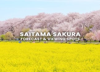10 จุดชมซากุระบาน ไซตามะ (Saitama) พร้อมพยากรณ์ 2026 (อัปเดตล่าสุด 3 มี.ค.) จุดชมซากุระไซตามะ (Saitama) พร้อมตารางพยากรณ์