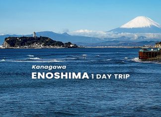 เที่ยวเกาะเอโนชิมะ 1 วัน ชมวิวฟูจิและทะเลสวยๆ ด้วย Enoshima-Kamakura Freepass เที่ยวเกาะเอโนชิมะ (Enoshima) 1 วัน