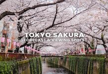 23 จุดชมซากุระบาน โตเกียว (Tokyo) พร้อมพยากรณ์ 2026 (อัปเดตล่าสุด 17 ก.พ.) จุดชมซากุระในโตเกียว (Tokyo Sakura)