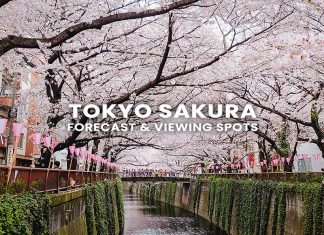 23 จุดชมซากุระบาน โตเกียว (Tokyo) พร้อมพยากรณ์ 2026 (อัปเดตล่าสุด 17 ก.พ.) จุดชมซากุระในโตเกียว (Tokyo Sakura)