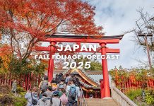 ตารางพยากรณ์ใบไม้เปลี่ยนสี ญี่ปุ่น 2025 ละเอียดยิบ 160 จุด (อัปเดตล่าสุด 4 ก.ย.) พยากรณ์ใบไม้เปลี่ยนสี ญี่ปุ่น 2025