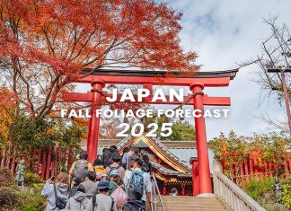 ตารางพยากรณ์ใบไม้เปลี่ยนสี ญี่ปุ่น 2025 ละเอียดยิบ 160 จุด (อัปเดตล่าสุด 9 ต.ค.) พยากรณ์ใบไม้เปลี่ยนสี ญี่ปุ่น 2025