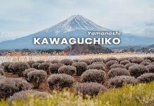 เที่ยวคาวากุจิโกะ (Kawaguchiko) 1 วัน! วางแผนเดินทางไปชมภูเขาไฟฟูจิแบบชิลๆ เที่ยวคาวากุจิโกะ (Kawaguchiko) ชมภูเขาฟูจิ