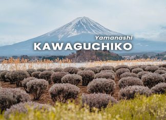 เที่ยวคาวากุจิโกะ (Kawaguchiko) 1 วัน! วางแผนเดินทางไปชมภูเขาไฟฟูจิแบบชิลๆ เที่ยวคาวากุจิโกะ (Kawaguchiko) ชมภูเขาฟูจิ