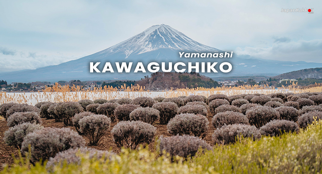 เที่ยวคาวากุจิโกะ (Kawaguchiko) ชมภูเขาฟูจิ เที่ยวคาวากุจิโกะ (Kawaguchiko) ชมภูเขาฟูจิ