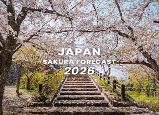 ตารางพยากรณ์ซากุระบาน ญี่ปุ่น 2026 แบบละเอียดยิบ 200 จุด (อัปเดตล่าสุด 8 ม.ค.) พยากรณ์ซากุระญี่ปุ่นปี 2026