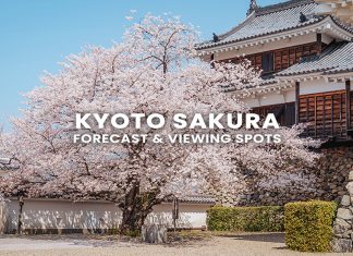 25 จุดชมซากุระเกียวโต (Kyoto) พร้อมตารางพยากรณ์ 2026 (อัปเดตล่าสุด 19 ก.พ.) จุดชมซากุระเกียวโต (Kyoto) พร้อมตารางพยากรณ์