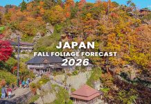 ตารางพยากรณ์ใบไม้เปลี่ยนสี ญี่ปุ่น 2026 ละเอียดยิบ 170 จุด (อัปเดตล่าสุด 3 ก.ย.) พยากรณ์ใบไม้เปลี่ยนสี ญี่ปุ่น 2026